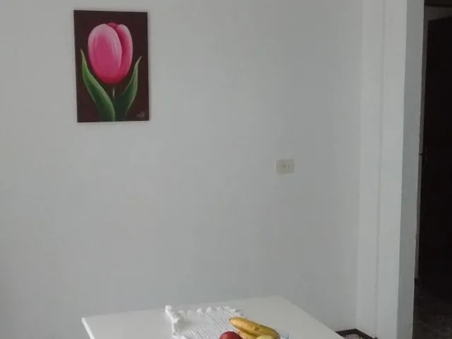 Imagem 3: Vende Apartamento Bairro Sambugaro