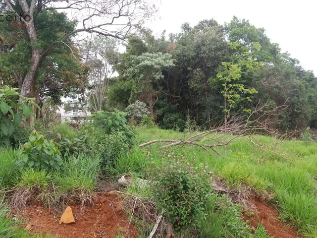 Imagem 1: VENDE TERRENO BAIRRO PINHEIROS