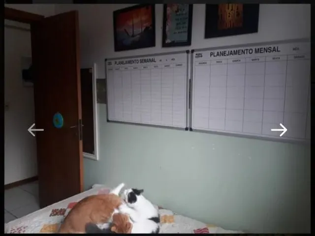 Imagem 3: Aluguel de Quarto Feminino Individual