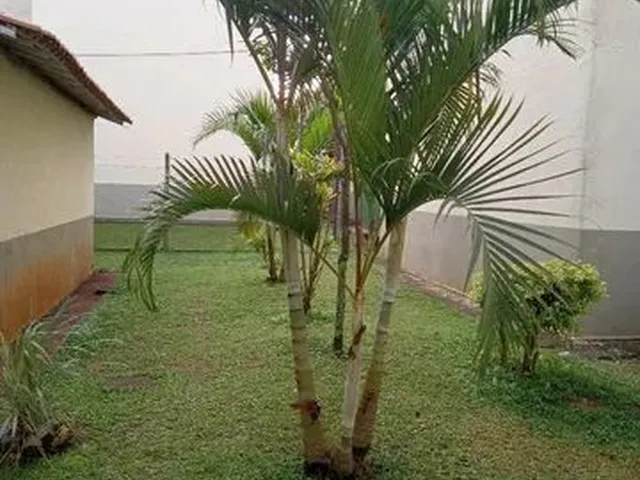 Imagem: Aluga Se Apto no Condomínio Cotia Verde