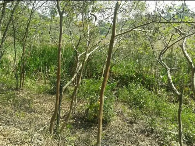 Imagem: Terreno em Jaboticatubas
