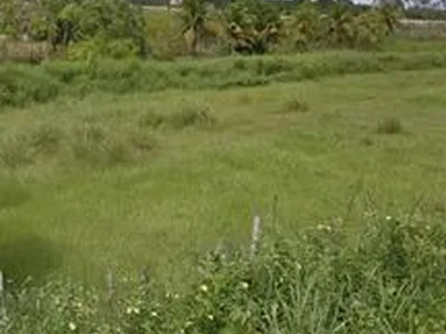 Imagem: Vendo e Troco Esse Terreno em Macaíba 60