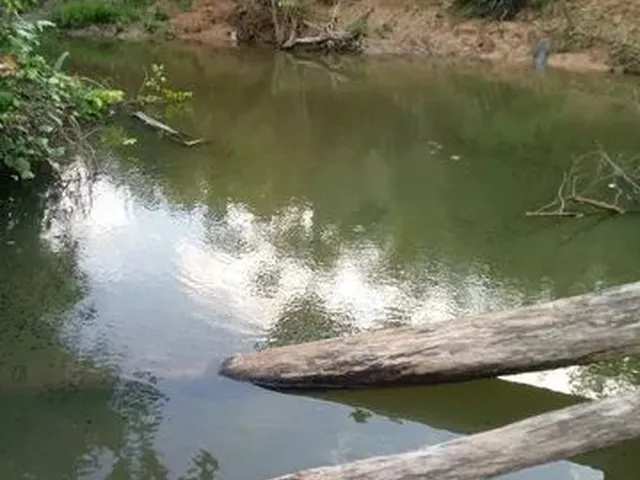 Imagem: Vendo Uma Colônia de 632 Hectares, com
