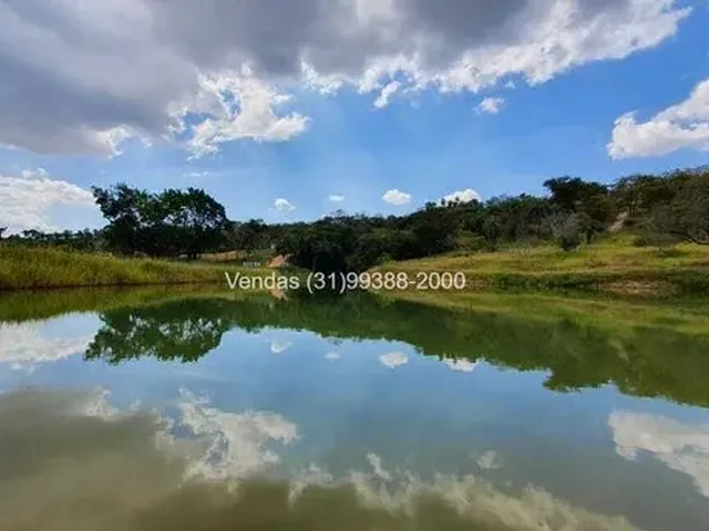 Imagem: Haras com Redondel Pista e Baias em Condomínio