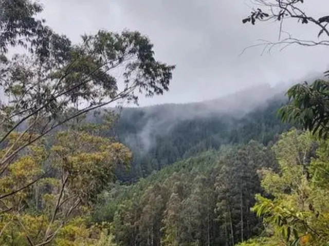 Imagem: Belíssimo Sítio em Anitápolis Sc