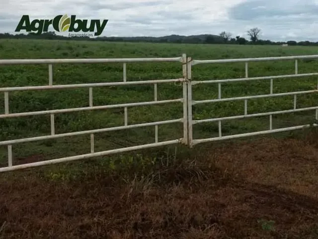 Imagem: Fazenda com 195 Alqueires no Município