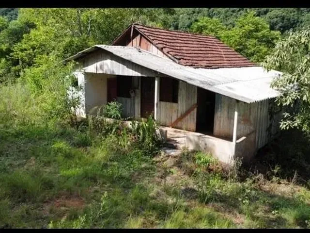 Imagem: Uma Área Rural de 19 Hectares em Fontoura