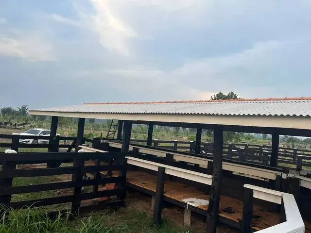 Imagem: Sítio Localizada na Lh 03 do Flor do Amazonas