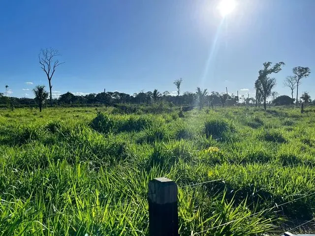 Imagem 6: Sítio Localizada na Lh 03 do Flor do Amazonas a 31 Km de Cándeias do Jamari