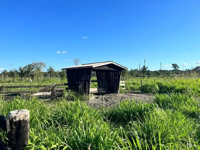 Imagem 15: Sítio Localizada na Lh 03 do Flor do Amazonas a 31 Km de Cándeias do Jamari