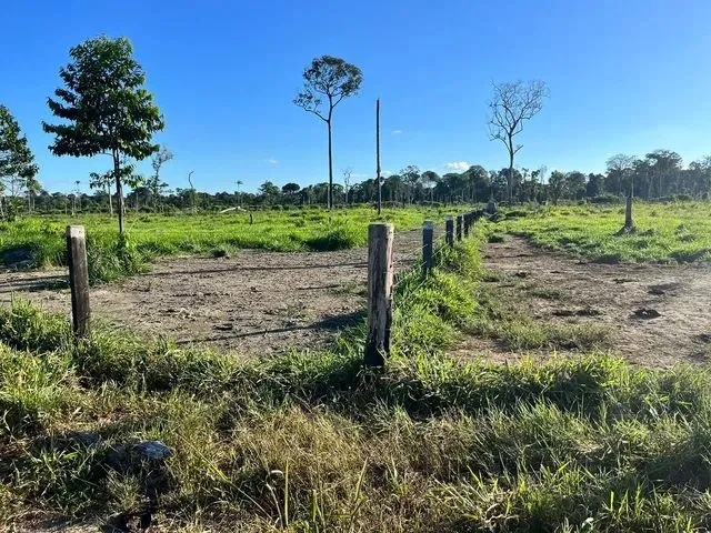 Imagem 13: Sítio Localizada na Lh 03 do Flor do Amazonas a 31 Km de Cándeias do Jamari