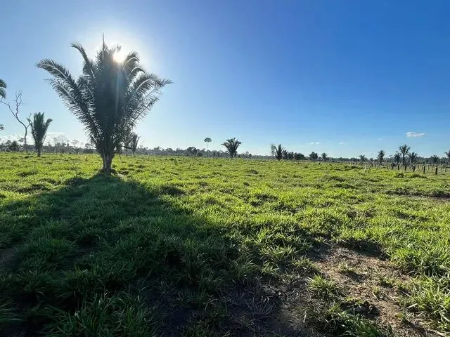 Imagem 9: Sítio Localizada na Lh 03 do Flor do Amazonas a 31 Km de Cándeias do Jamari