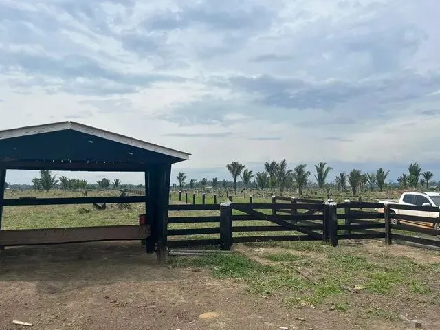 Imagem 5: Sítio Localizada na Lh 03 do Flor do Amazonas a 31 Km de Cándeias do Jamari