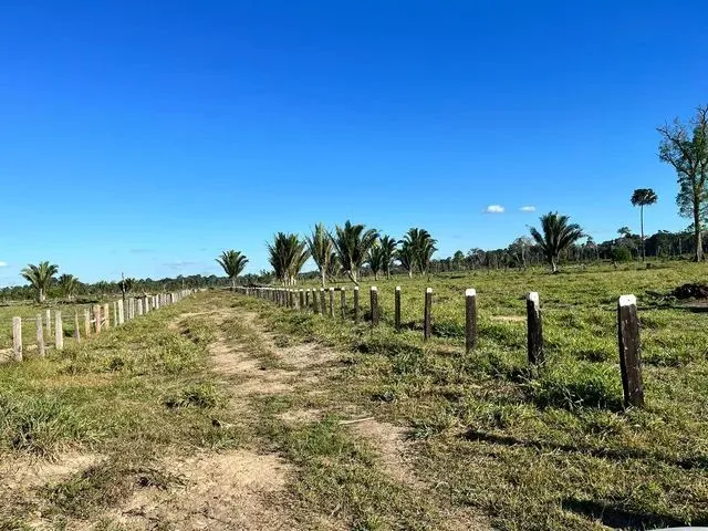 Imagem 10: Sítio Localizada na Lh 03 do Flor do Amazonas a 31 Km de Cándeias do Jamari