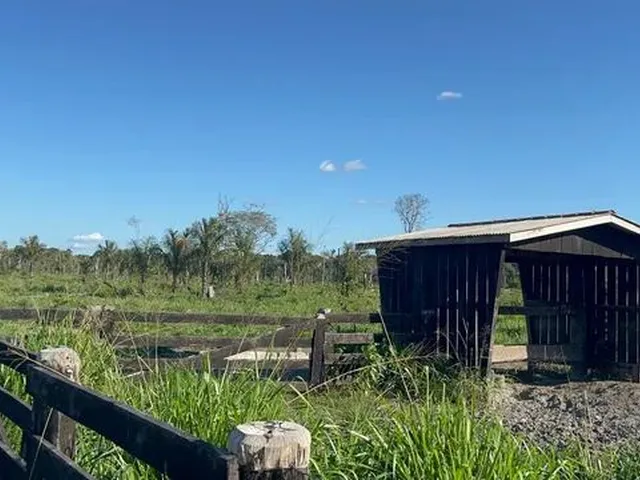 Imagem 3: Sítio Localizada na Lh 03 do Flor do Amazonas a 31 Km de Cándeias do Jamari