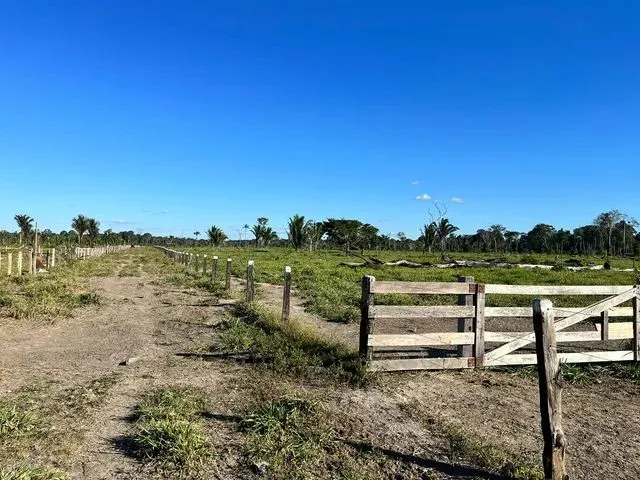 Imagem 16: Sítio Localizada na Lh 03 do Flor do Amazonas a 31 Km de Cándeias do Jamari