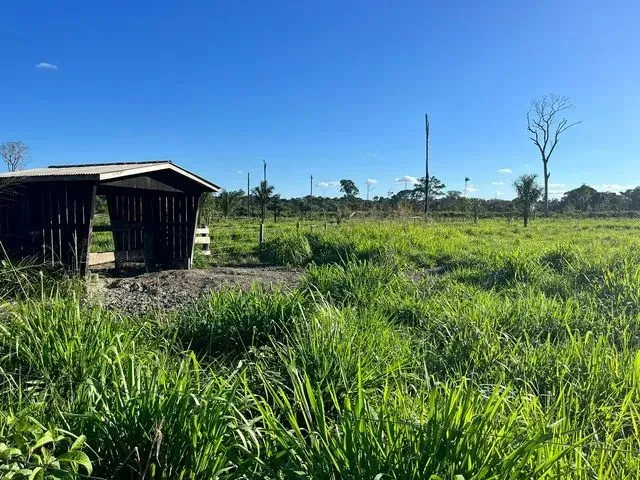 Imagem 12: Sítio Localizada na Lh 03 do Flor do Amazonas a 31 Km de Cándeias do Jamari