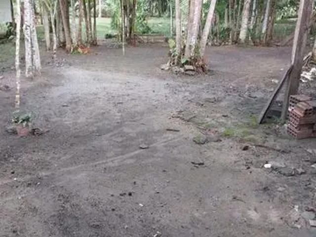 Imagem: Vendo Uma Casa