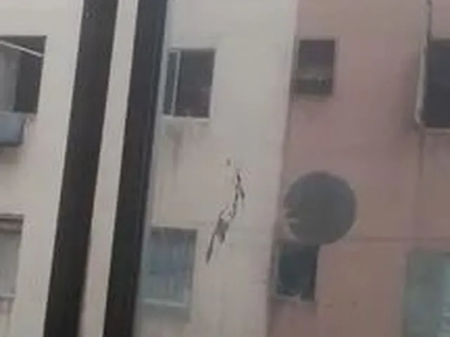 Imagem: O apartamento possui 2 Dormitórios, 1 Banheiro e está