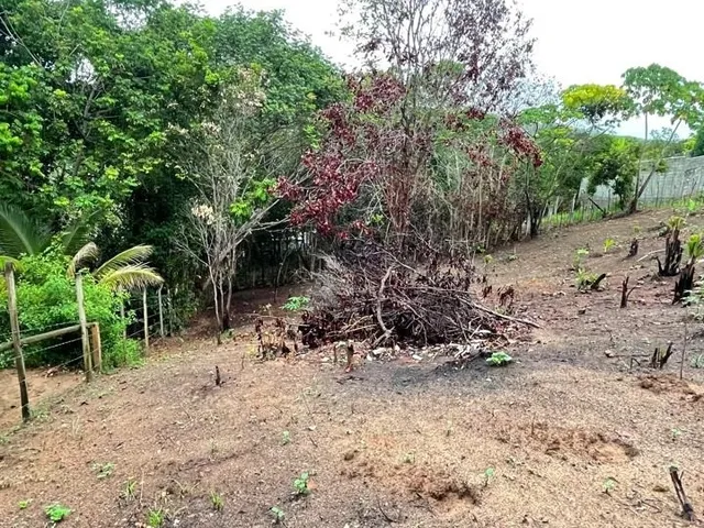 Imagem 1: TERRENO - MATA DE SÃO JOÃO