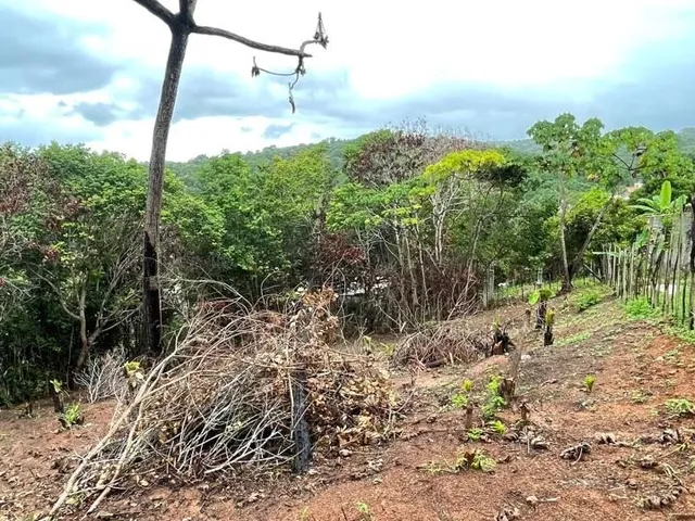 Imagem 2: TERRENO - MATA DE SÃO JOÃO
