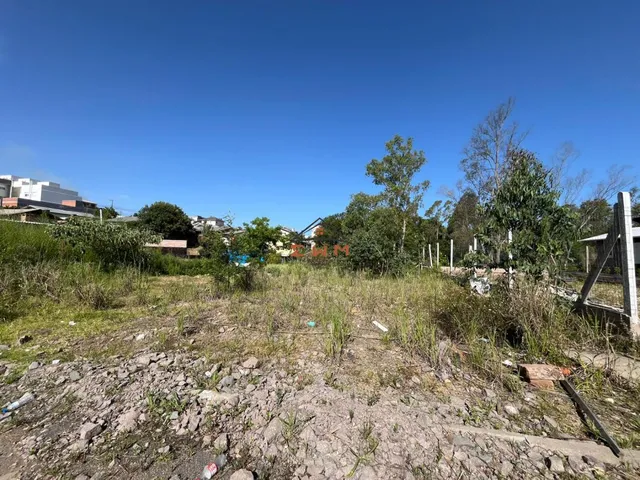 Imagem: TERRENO NO MONTE VERDE