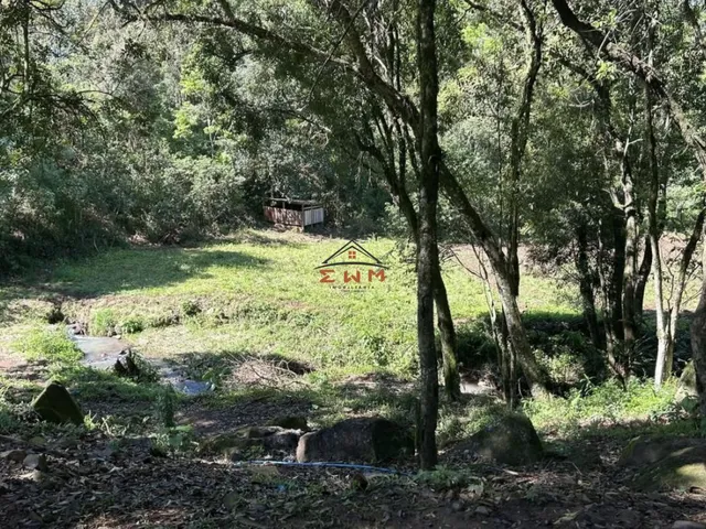 Imagem 10: Chácara à venda em Farroupilha, Linha Ely - com açude e casa, 2 Dormitórios, Cozinha