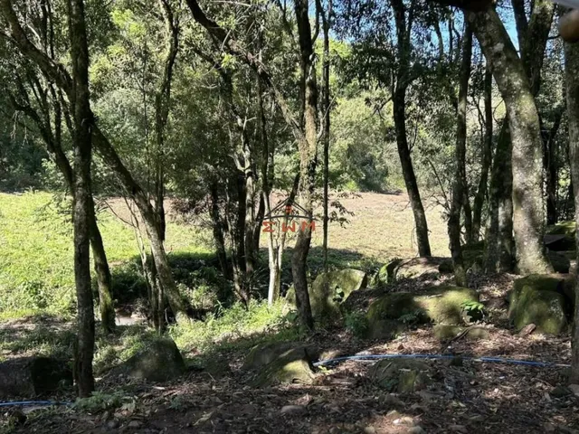 Imagem 11: Chácara à venda em Farroupilha, Linha Ely - com açude e casa, 2 Dormitórios, Cozinha