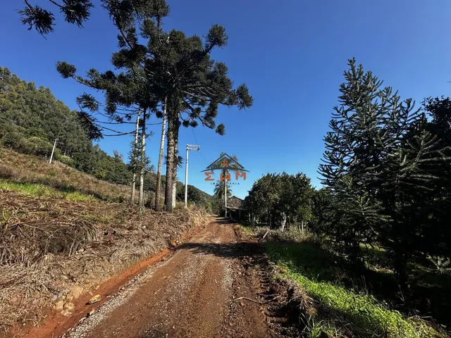 Imagem 7: Chácara Sítio à venda em Caravaggio, com açude!