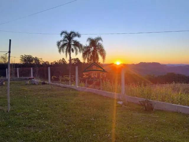 Imagem 3: Sítio à venda em Farroupilha, Linha Palmeiro - 4 Dormitórios e Suíte
