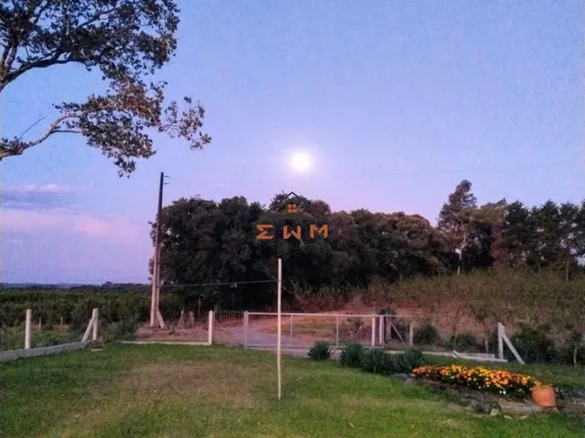 Imagem 4: Sítio à venda em Farroupilha, Linha Palmeiro - 4 Dormitórios e Suíte