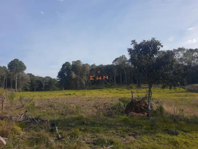 Imagem 12: Sítio à venda em Farroupilha, Linha Palmeiro - 4 Dormitórios e Suíte
