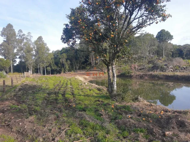 Imagem 9: Sítio à venda em Farroupilha, Linha Palmeiro - 4 Dormitórios e Suíte