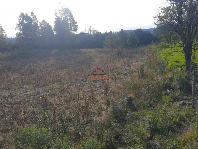 Imagem 8: Sítio à venda em Farroupilha, Linha Palmeiro - 4 Dormitórios e Suíte
