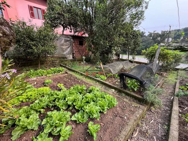 Imagem 9: Excelente casa no Monte Pasqual