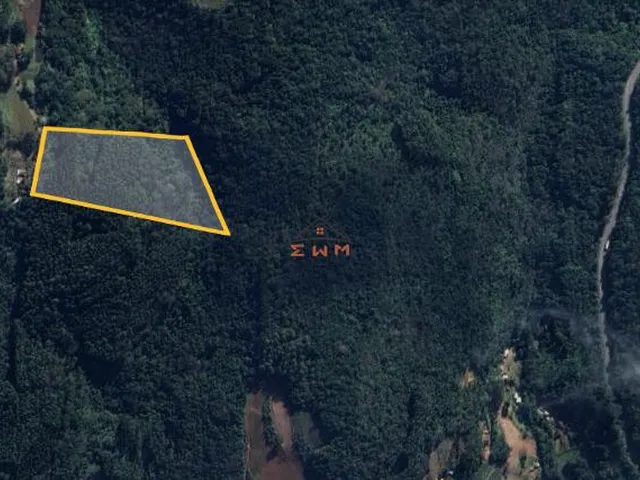 Imagem 4: Área com 50.000 M² Plantado com Eucalipto