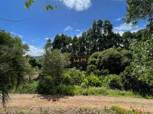 Imagem 5: Área com 50.000 M² Plantado com Eucalipto