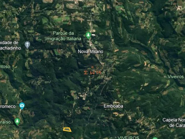 Imagem 10: Área com 50.000 M² Plantado com Eucalipto