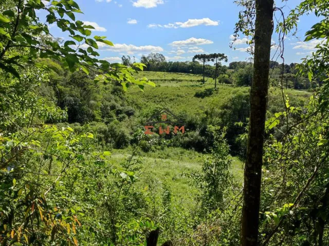 Imagem 5: Chácara em Nova Sardenha