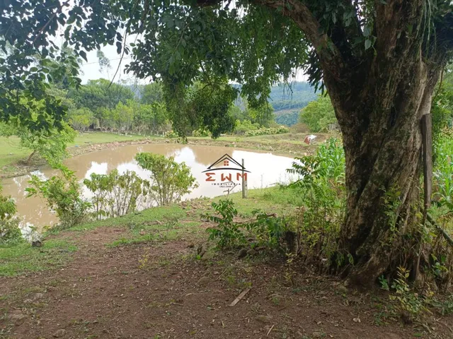 Imagem: LINDO SÍTIO COM CASA