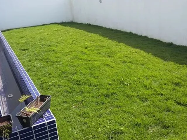 Imagem 12: Casa Rua dos Tiés Pedra Branca