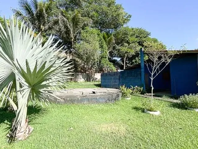 Imagem 1: Sitio Zona Rural Coimbra Mg Brasil