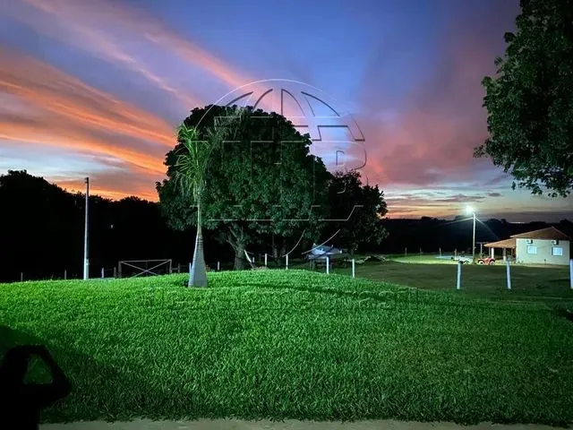 Imagem: Fazenda para Venda em Cajuru, Area Rural