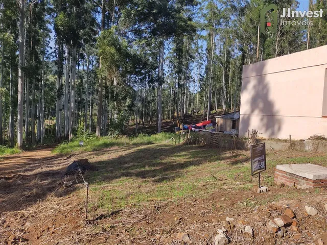 Imagem: Terreno para Alugar Centro Nova Palma/Rs