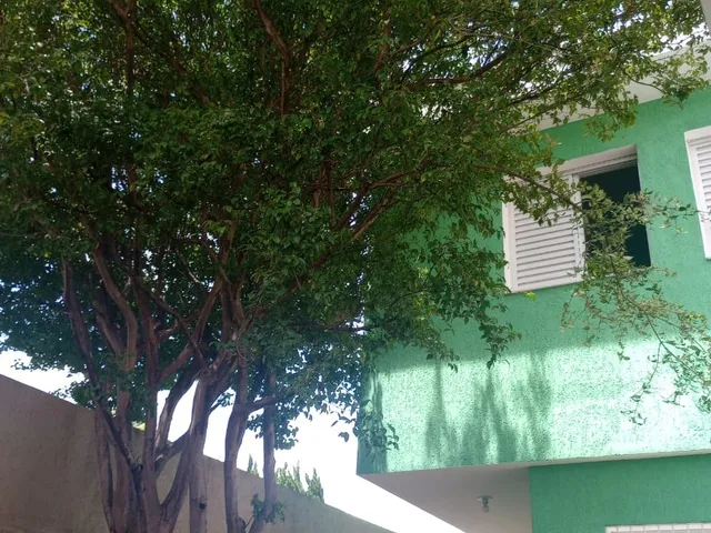 Imagem 15: Sobrado - Vila Osasco