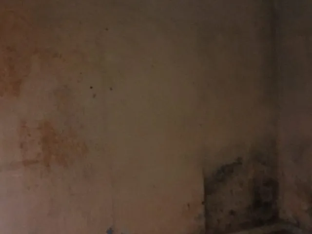 Imagem 8: CASA TÉRREA - VELOSO OSASCO