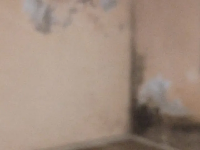 Imagem 10: CASA TÉRREA - VELOSO OSASCO