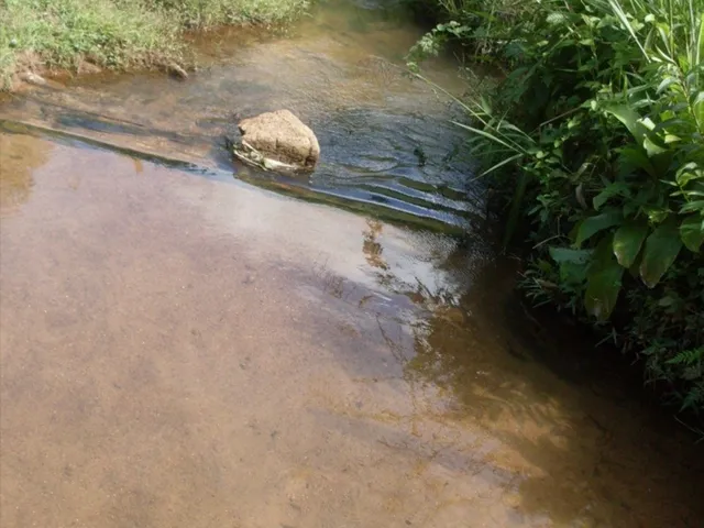 Imagem 4: SÍTIO - JUQUIÁ