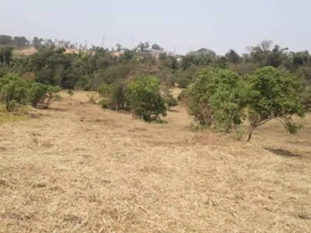 Imagem 11: Área para Venda Ou Locação Distrito Industrial Benedito Storani, Vinhedo