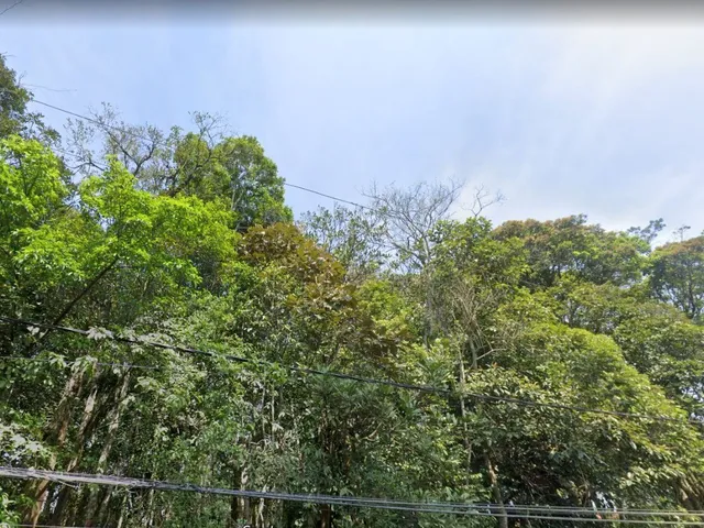Imagem: SÍTIO SÃO BERNARDO DO CAMPO